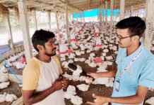 आधुनिक खेती से किसान सालाना कमा रहा है 30 लाख रुपये!