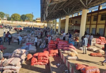 *मध्य प्रदेश के प्याज किसान खून के आंसू रोने को मजबूर*