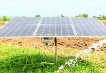 किसानों की पहुंच से दूर कुसुम, सोलर प्लांट के लिए एक साल से धूल खा रहे हैं एक हजार किसानों के आवेदन