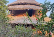 झारखंड की भीषण गर्मी में पेड़ों के ऊपर घर, मिट्टी की दीवारें! यहां मिलेगी जन्नत जैसी ठंडक