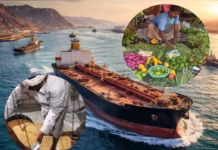 सब्जियों के दामों में लगने वाली है आग, ईरान जंग की चपेट में आएंगे ये देश